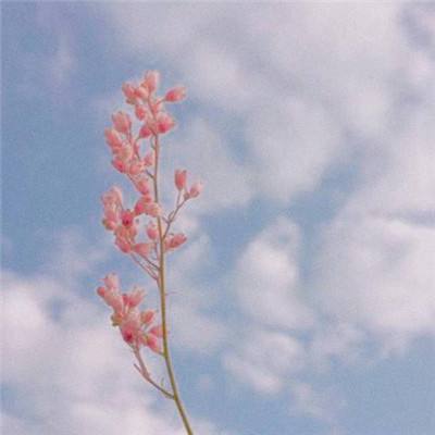 倚天双剑手游官方(暂未上线)v1.0 安卓最新版