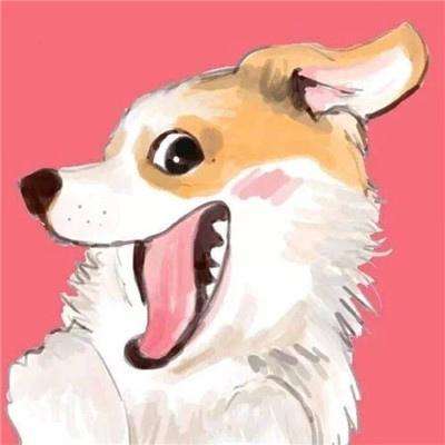龙狼传手游下载